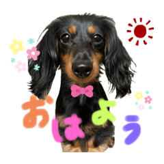 Natsumi_20191227223646