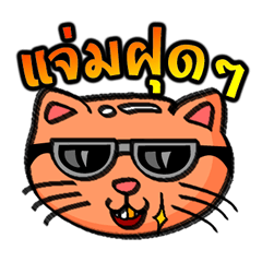 Cat Heads (Thai)