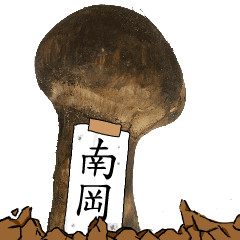 松茸研究家南岡さんのマツタケ