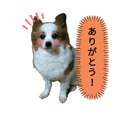 Ryuki_20191228095721