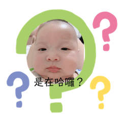 瑞哥的幾種表情1