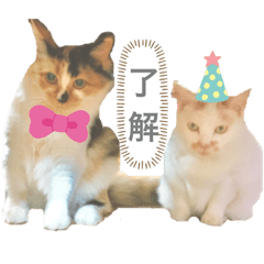 Emily_20191228084158