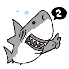 【ホホジロザメ】サメ【ホオジロザメ】2