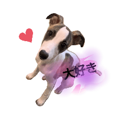 RIHO_20191228140707
