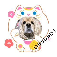 nagisa_20191228144336