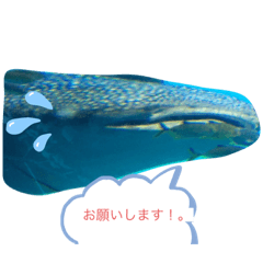 Yukina_20191228161847