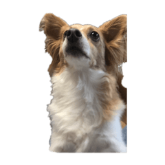 ayumi_20191228184740