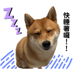 樂之趣