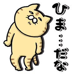 Funny cats of nojako