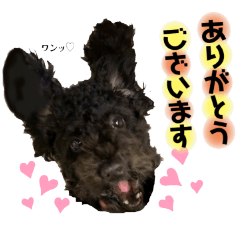 black toy podle sticker