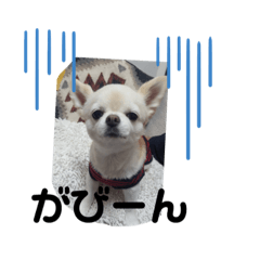 hana_20191228230942