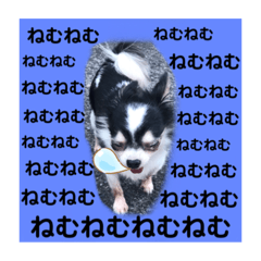 RURUchan's stamp part1