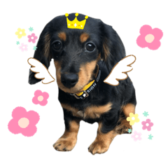 Natsumi_201912290853022