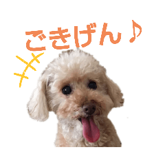 JUN_20191228212117