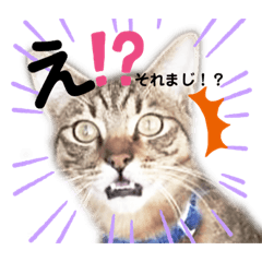 20191229sora