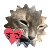 misn_20191229131047