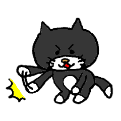 Black cat mi-chan