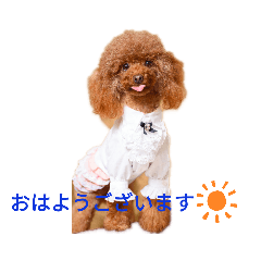 hiroko_20191229173234