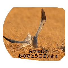 SIGE_20191229201807bird-happynewyear