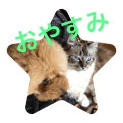 yukari_20191229193137