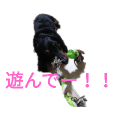 犬モナカ集