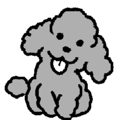 Nature of Toy Poodle