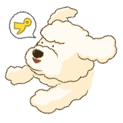 White Poodle (fixed)