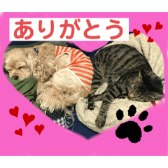 nagisa_20191230032842