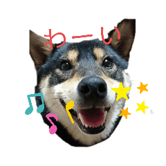 Saori_20191230102726