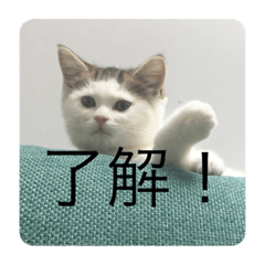SUZU_20191230115344