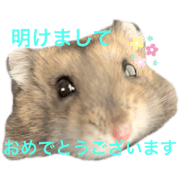 IROHA_20191230130121