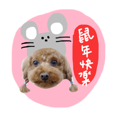 眼神無辜(✪㉨✪)可愛娃兒實用貼圖✿貼心