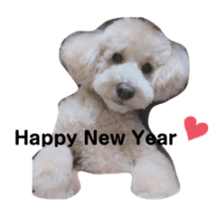 Risa_2019123014104