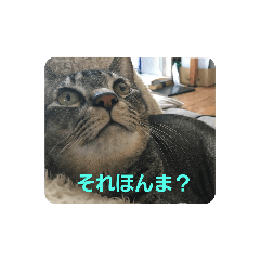 marumaru_20191230141052