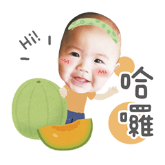 榛榛豬