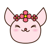 KAWAII!!Funny Smooth Chihuahua Juliet