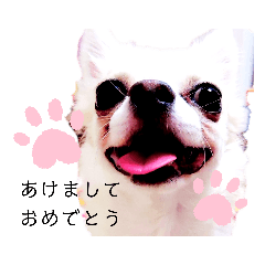 chi_20191230173605