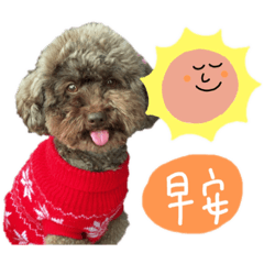 Lawa毛孩家