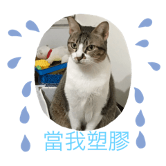Rei_20191230191625