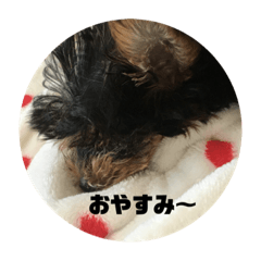 Koko_20191230190204