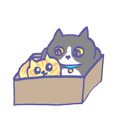 箱入り猫