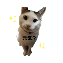 SAORI_20191230210532