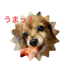 natsumi_20191230200320