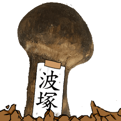 松茸研究家波塚さんのマツタケ