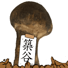 松茸研究家築谷さんのマツタケ