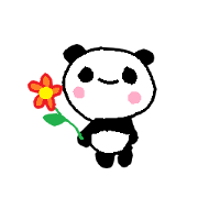 a sweet giant panda a sweet giant panda