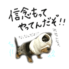 yukari_20191231003444