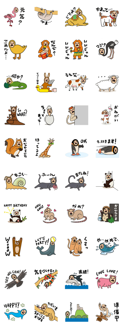 Monsieur ZOO Monsieur ZOO