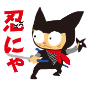 ninjya cat "ninnya" ninjya cat "ninnya"