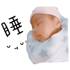 小小芬say hi